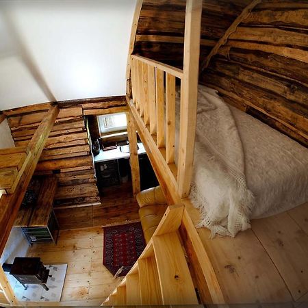 דירות Ventspils Garden House מראה חיצוני תמונה